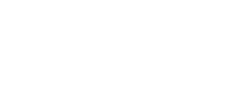 RADIN logo